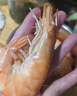 首鲜道大虾 虾 新鲜盐田大虾盐冻4斤青虾大明虾生鲜白虾 40-50规格14-16厘米 3斤(净重) 实拍图
