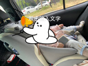 金可贝贝儿童安全座椅汽车0-12岁360度旋转宝宝婴儿车载坐椅isofix接口 G407plus云漫米-硬接口 实拍图
