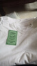 她寓2023新款纯棉短袖T恤女圆领纯色宽松显瘦气质上衣百搭体恤女 纯白短袖 L 115-130 斤 实拍图