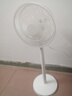 长虹（CHANGHONG） 电风扇落地扇家用立式电扇台扇摇头电扇小型办公室宿舍家用电扇循环空气风扇 5叶小号机械款（标准型） 实拍图