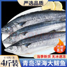 京喜加青岛海捕鲅鱼整条大鲅鱼马鲛鱼6/8两新鲜冷冻海鲜水产 无冰鲅鱼6~8两2kg 【6~8条】 实拍图