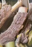 呼贝伦内蒙古滩羊 羊腿+羊排组合净重10斤 散养半羊肉礼盒火锅 源头直发 实拍图