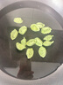 三全儿童水饺 虾仁胡萝卜口味300g42只 果蔬和面速冻饺子儿童早餐 实拍图