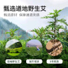 上和元 艾条艾柱1.8cm 非遗中药配方艾灸柱 三年陈艾绒 家用艾灸盒罐 艾柱1盒x60粒 实拍图