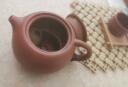 茶壶紫砂壶功夫茶具套装泡茶壶原矿朱泥西施壶家用大容量大红袍 大号西施凤鸣壶【礼盒装】 300ml 实拍图