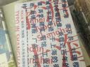 字游上海 实拍图