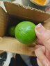 台湾品种 塔希提无籽青柠檬 香水柠檬 新鲜皮薄 多汁沁香 绿色 尝鲜装净重250g（精选果） 实拍图