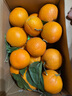 逮果重庆奉节脐橙纽荷尔春橙福本特级大果礼盒装时令新鲜孕妇水果橙子 特级果20斤礼盒装【JD/顺丰】 实拍图