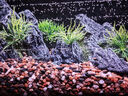 画法几何鱼缸造景海绵宝宝菠萝屋装饰摆件仿真造景沉木鱼缸水族箱造景 青风山丘套装 实拍图