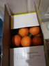 逮果重庆奉节脐橙纽荷尔春橙福本特级大果礼盒装时令新鲜孕妇水果橙子 特级果20斤礼盒装【JD/顺丰】 实拍图