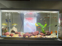 喜高超白玻璃鱼缸智能鱼缸免换水小型客厅水族箱一体式过滤氧气鱼缸 白-鱼缸标配 600*260*330mm 实拍图