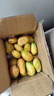 尔蝶海南小台农芒果10斤新鲜小台芒当季热带水果现摘甜心小芒果整箱 小果尝鲜 单果50-70g-爆甜多汁 精选3斤装 净重2.8斤 实拍图