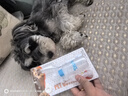 HELLOJOY猫奶瓶幼猫小奶猫新生宠物犬小狗狗喂奶器小猫奶嘴猫咪用品 60ml 实拍图