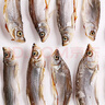翘嘴鱼大白刁子鱼干干货500g淡水白鱼干风干鱼餐条鱼腌制年货 大刁子鱼干 500g 30cm及以上 实拍图