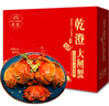 【活蟹】乾澄大闸蟹现货 全母蟹2.3-2.6两 10只 鲜活六月黄螃蟹生鲜海鲜礼盒装源头直发 实拍图