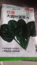 四季蔬菜种子大全菠菜香菜生菜油麦菜苋菜鸡毛菜芹菜矮脚黄蔬菜籽 红根菠菜种子1包约1100粒 实拍图