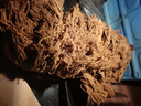 飒望德国汽车除尘掸子蜡拖扫灰尘刷车蜡刷棉线蜡拖不伤漆带收纳盒家用 【六件套】伸缩拖把+刷盒+掸子蜡+小刷+毛巾+雪铲 实拍图