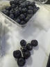 储褚【顺丰空运】云南新鲜蓝莓鲜果 国产花香蓝梅大果 时令水果 4盒装/125g（单果17mm左右） 实拍图