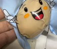 乡露白水煮鸡蛋清水蛋代餐独立便携卤蛋无壳即食学生孕妇健身餐 免剥煮鸡蛋*3颗 实拍图