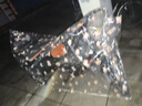 永久老年人力三轮车脚踏脚踩脚蹬车自行车轻便小型成人 20寸黑色带人款-液压减震 双链条 实拍图