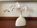 爱已装糖仿真花奶油风白色蝴蝶兰陶瓷花瓶 假花摆件 客厅餐桌装饰拍照道具 实拍图