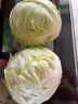 诸氏橙品【有机】绿甘蓝 新鲜蔬菜包菜卷心菜圆白菜 凉拌沙拉食材有机蔬菜 （1份*500g/份）尝鲜 实拍图