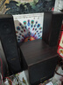 山水（SANSUI）60C客厅卡拉OK 电视音响 家用重低音炮 家庭K歌蓝牙 唱歌音箱套装电脑台式环绕立体音效HIFI发烧级 60C三分频升级加高版 实拍图