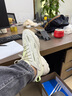 adidas OZWEEGO CELOX经典复古运动老爹鞋男女阿迪达斯官方三叶草 米色/荧光绿 41 实拍图