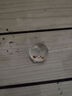 【升级】可爱夜光小猫微景观园艺小摆件卡通DIY透明彩色小猫鱼缸 彩色猫咪摆件    1个 实拍图