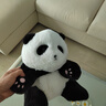 名创优品（MINISO）富竹坐姿熊猫公仔毛绒玩偶玩具抱枕娃娃送女朋友儿童生日礼物女 实拍图