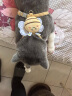 snowpaws猫咪牵引绳猫绳胸背带遛猫绳溜猫绳子背心宠物防挣脱逃脱背带链子 实拍图