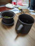 紫砂茶杯带过滤茶壶大容量主人杯茶水分离办公杯办公室泡茶杯紫沙 紫砂办公杯三件套（纯色） 实拍图