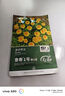 寿禾 蒲公英种子种苗婆婆丁野菜蔬菜菜籽 鲁寿1号蒲公英种子10g*2袋 实拍图