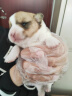 萌宠之星狗高蛋白羊奶粉300g初生狗狗0乳糖羊奶粉幼犬羊奶粉狗专用羊奶粉 实拍图