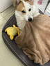 疯狂小狗 宠物狗零食磨牙棒幼犬成犬耐咬洁齿  鸡肉牛皮夹心卷150g 实拍图