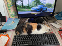 pc电脑大型单机游戏硬盘3a免steam免安装switch游戏硬盘即插即玩 1TB 【自选游戏】 即插即玩 实拍图