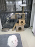 珑小宠猫爬架猫窝加粗大型猫树一体太空舱猫架子小户型不占地麻绳猫玩具 150cm 5层 【多功能款】 实拍图