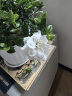开时果 栀子花盆栽浓香型带花苞发货 阳台花卉好养绿植物源头直发包邮 仿木桶+底托【120#带花苞】 实拍图