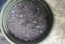 沃思林通用花土大包有机营养种菜养花种花专用种植土壤绿萝泥炭土思威博 40斤精制彩包添加羊粪有机肥料 实拍图