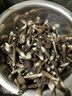 松見云南特产新鲜黑皮鸡枞菌菇鸡枞菌新鲜菌菇汤菌类现采现发顺丰速发 【买半斤送半斤】新鲜黑皮鸡枞菌 实拍图