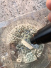 汽车破窗神器带割刀可割安全绳逃生破窗安全锤多功能随身秒破车窗 吉祥红【一秒破窗 强效三合一】 实拍图