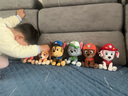 汪汪队立大功（PAW PATROL）汪汪队玩具毛绒全套狗狗玩偶公仔男女孩玩具旺旺队新年礼物 经典款-灰灰公仔 小号-坐高约15.2CM 实拍图