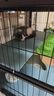 憨憨宠 猫笼 大号方管猫笼子家用带厕所猫屋猫舍猫别墅繁殖笼幼猫成猫笼 置物架三层丨黑色80*53*100cm【1只成猫或2只幼猫】 实拍图