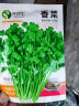 唯友蔬菜种子大全四季播种阳台盆栽农家小菜园香菜生菜菠菜小葱易种 香菜 约500粒 实拍图