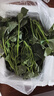 地瓜叶新鲜食用农家现摘现发嫩尖番薯叶蔬菜红薯叶 3斤 实拍图
