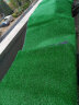 夺秀 仿真草坪地毯塑料假草皮 人造草坪阳台户外人工草坪幼儿园假草坪 12mm门球草/果岭草/平方 每平方尺寸（2米*0.5米） 实拍图