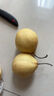 远达河北赵县鸭梨新鲜水果梨3/5/9斤新梨脆甜多汁梨子冰糖雪梨整箱 鸭梨净重4.5斤单果180g+ 实拍图