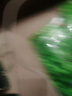 养生艾草种子艾叶香草四季播遏草驱蚊阳台盆栽泡澡种子大全 艾草种子 5包约2500粒 实拍图