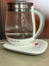 九阳（Joyoung）养生壶 1.5L煮茶器电热烧水壶开水壶 0胶水保温煮茶器玻璃花茶壶WY125 实拍图