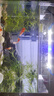鱼缸灯架水草灯架LED草缸灯水族箱鱼缸照明灯架LED水草灯 四排三档变色灯架 L-200（适合20-30cm鱼缸 实拍图